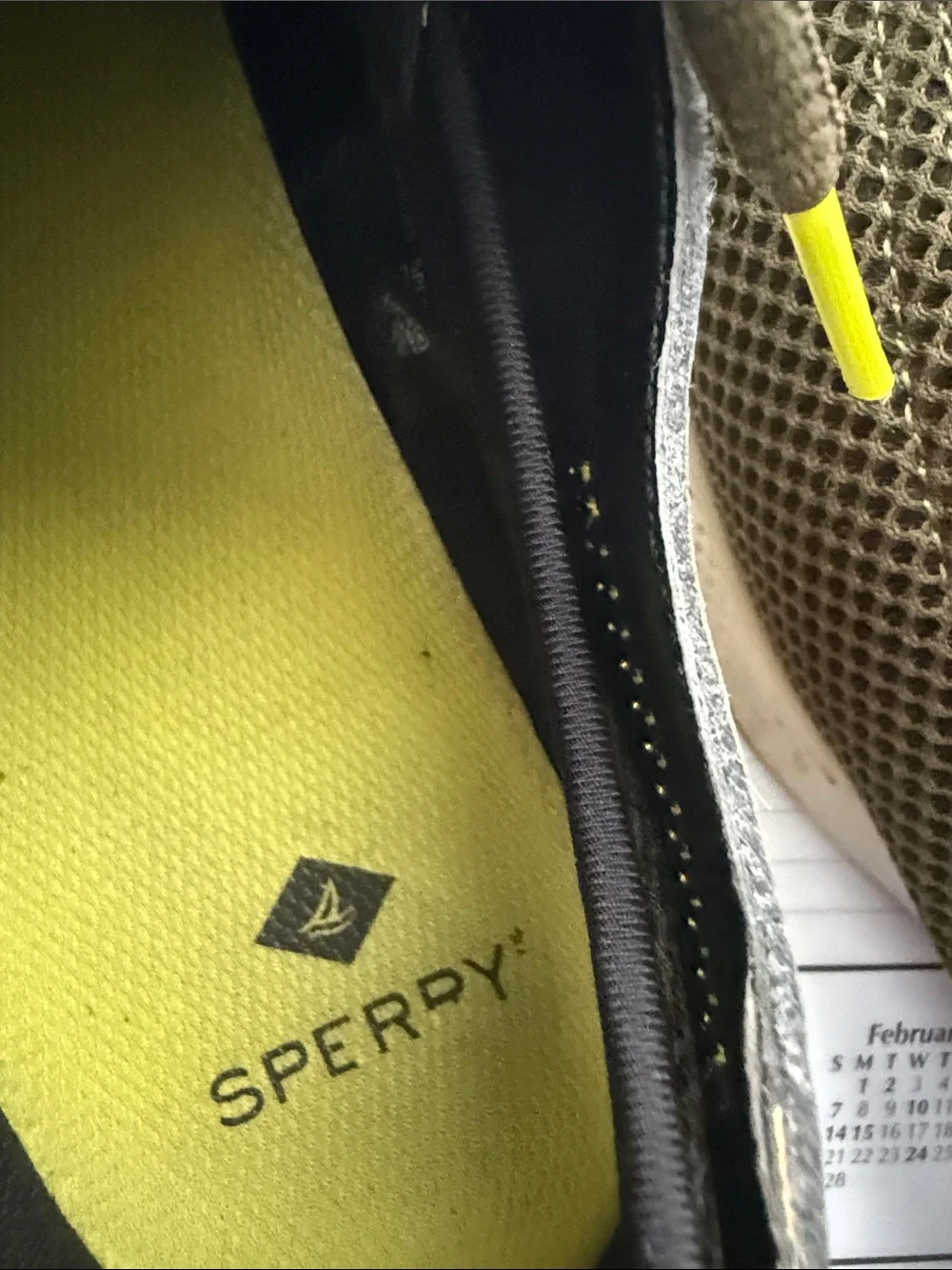 Sperry Men’s Olive Green Mesh Lace-Up Sneaker